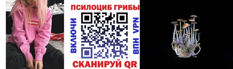 Галлюциногенные грибы GOLDEN TEACHER  купить наркотики сайты  Кирово-Чепецк 